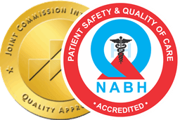Nabh Logo